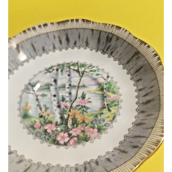 Vintage Royal Albert Silver Birch pattern Cup & Saucer Set - Picture 6 of 9